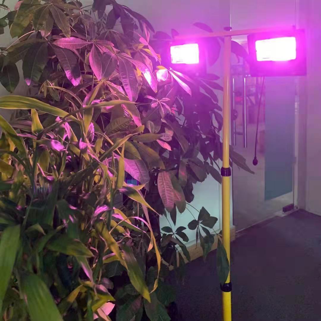 35/60W Solar LED Grow Light Fu - Renewable Energy Project 评论和价格